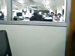 Loyalsock のライブラリの手マン