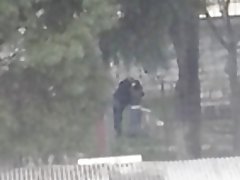 ストリート 4 の上にクソをキャッチ